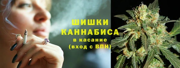 прущие грибы Балахна