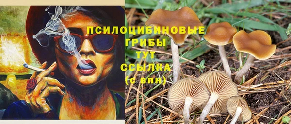 spice Балабаново