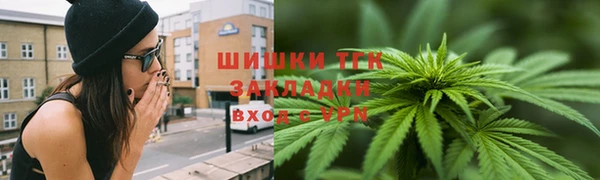 прущие грибы Балахна
