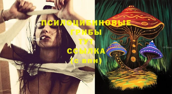 spice Балабаново