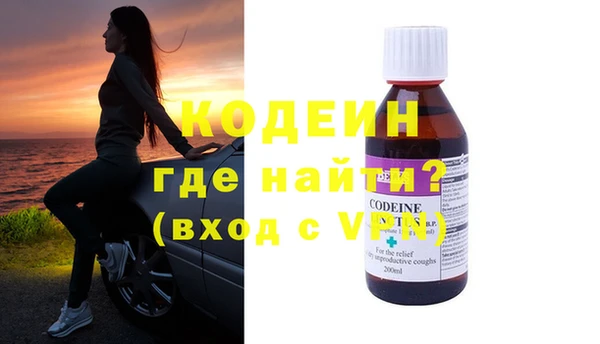 прущие грибы Балахна