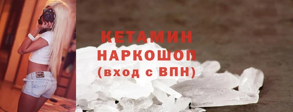 прущие грибы Балахна
