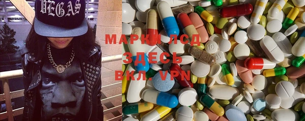 прущие грибы Балахна