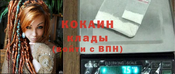 прущие грибы Балахна