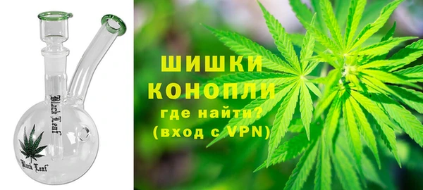 прущие грибы Балахна